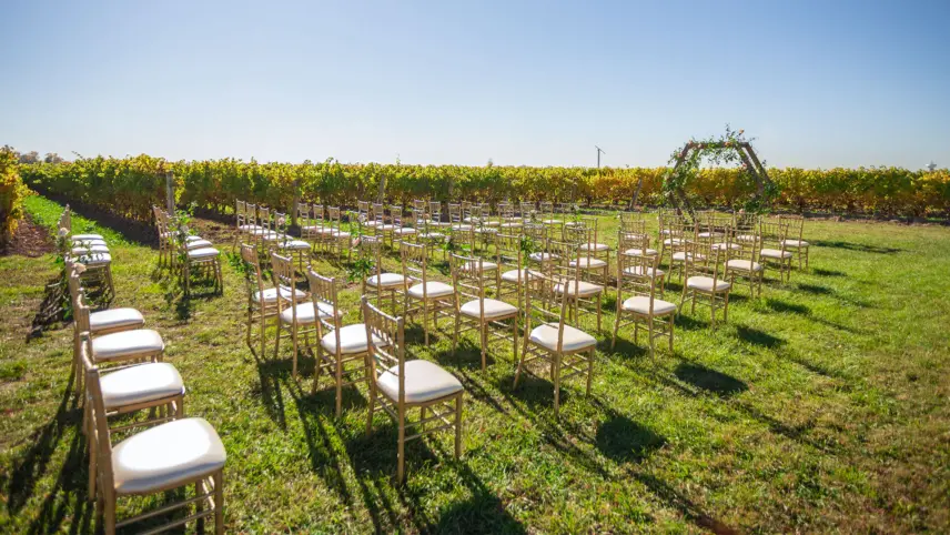 Wedding ceremony seating in a Niagara vineyard.